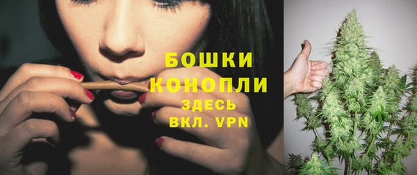 spice Елизово