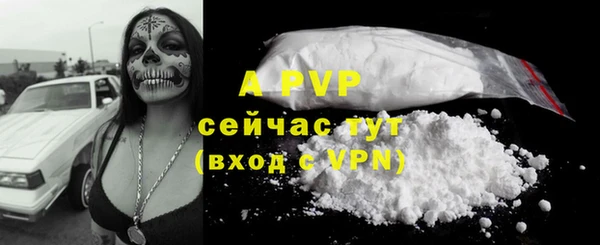 spice Елизово