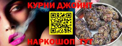 сатива Краснознаменск