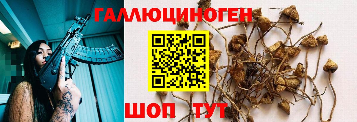 Галлюциногенные грибы мухоморы Тосно
