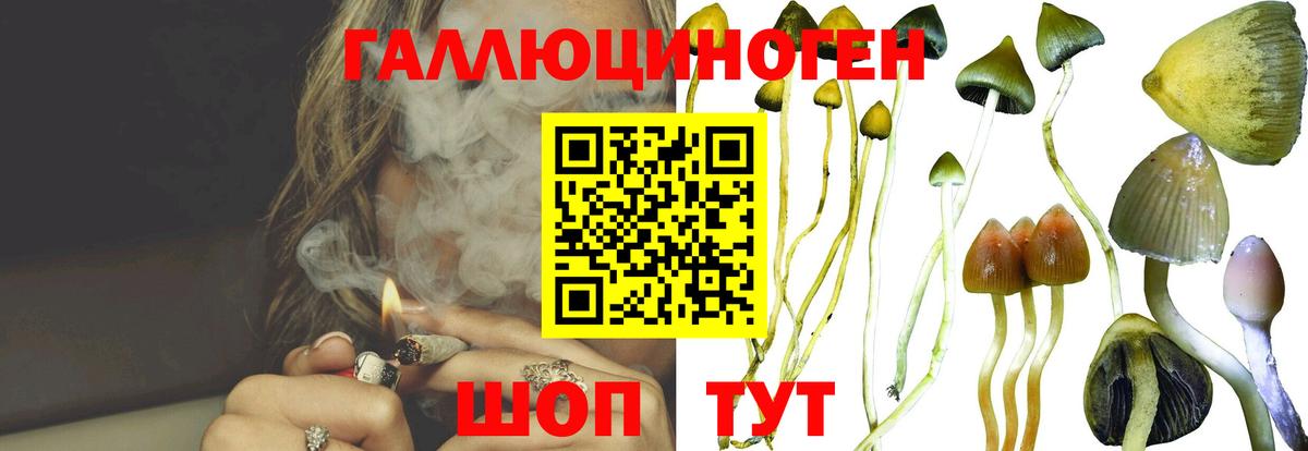 Тосно  Псилоцибиновые грибы ЛСД  Вход с VPN  Псилоцибиновые грибы мицелий 